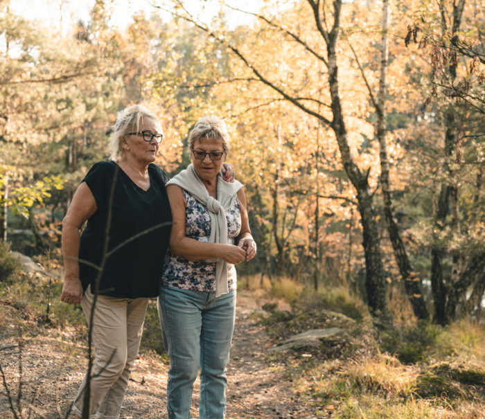 Two close senior women are on a walk in a Swedish forest in autumn. Shot on a beautiful day right before sunset.